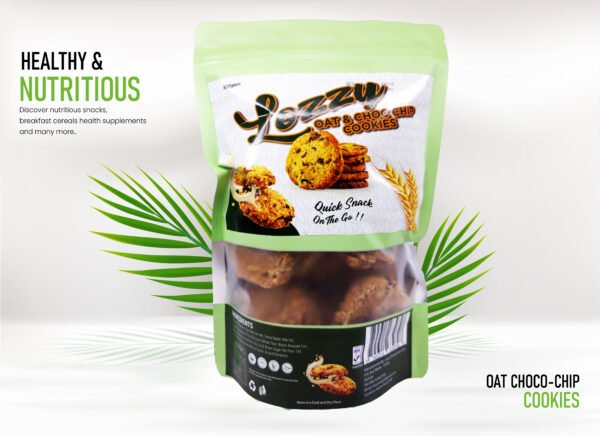 Oats& Choco Chip Cookies